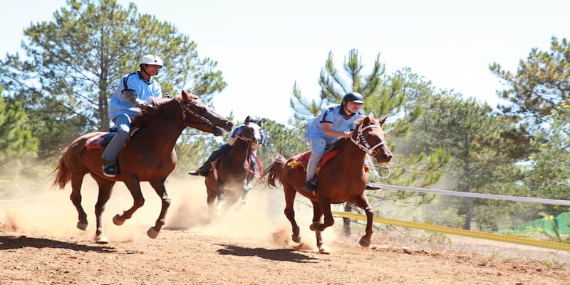 Đua ngựa Bí quyết chơi Đua ngựa Rikvip hiệu quả