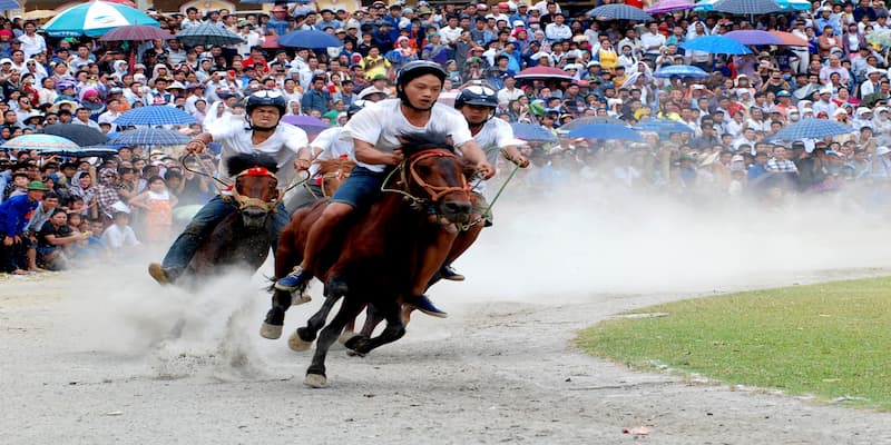 Đua ngựa Luật chơi Đua ngựa cơ bản